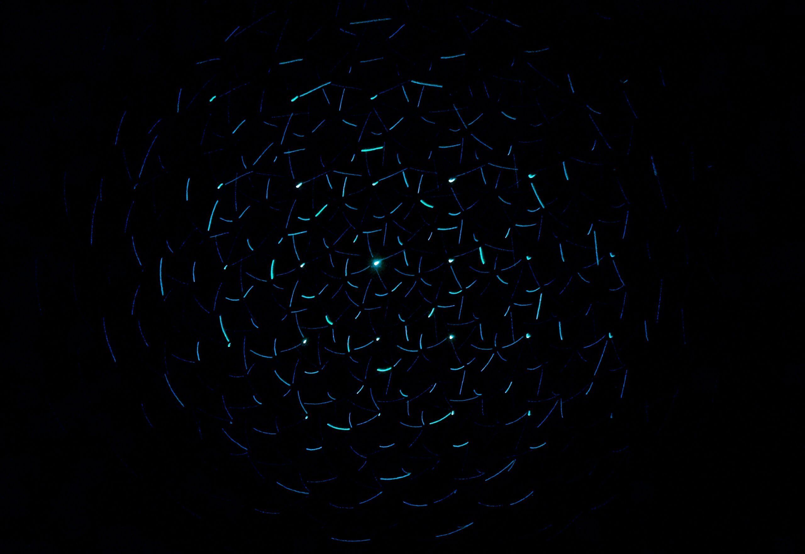 A mesmerizing pattern of glowing blue shapes against a dark background.