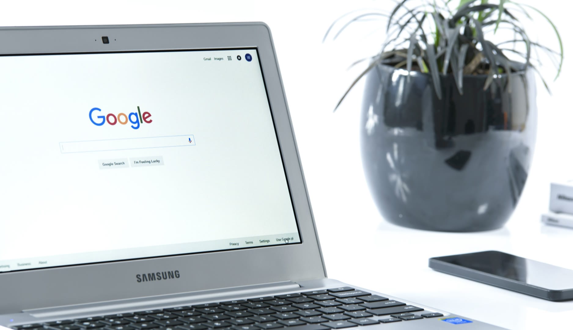 A laptop displaying the Google homepage with a potted plant in the background.