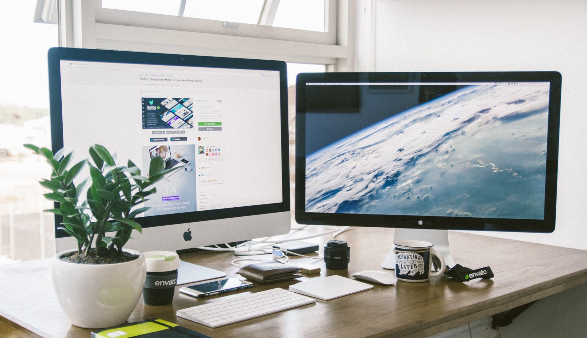 A modern workspace featuring two Apple monitors and a potted plant.
