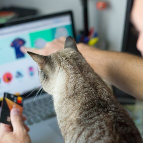 Custom website design and SEO services in Naples, Florida by Solve Design Create