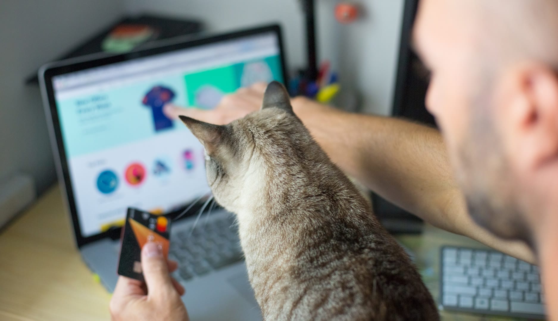 Custom website design and SEO services in Naples, Florida by Solve Design Create