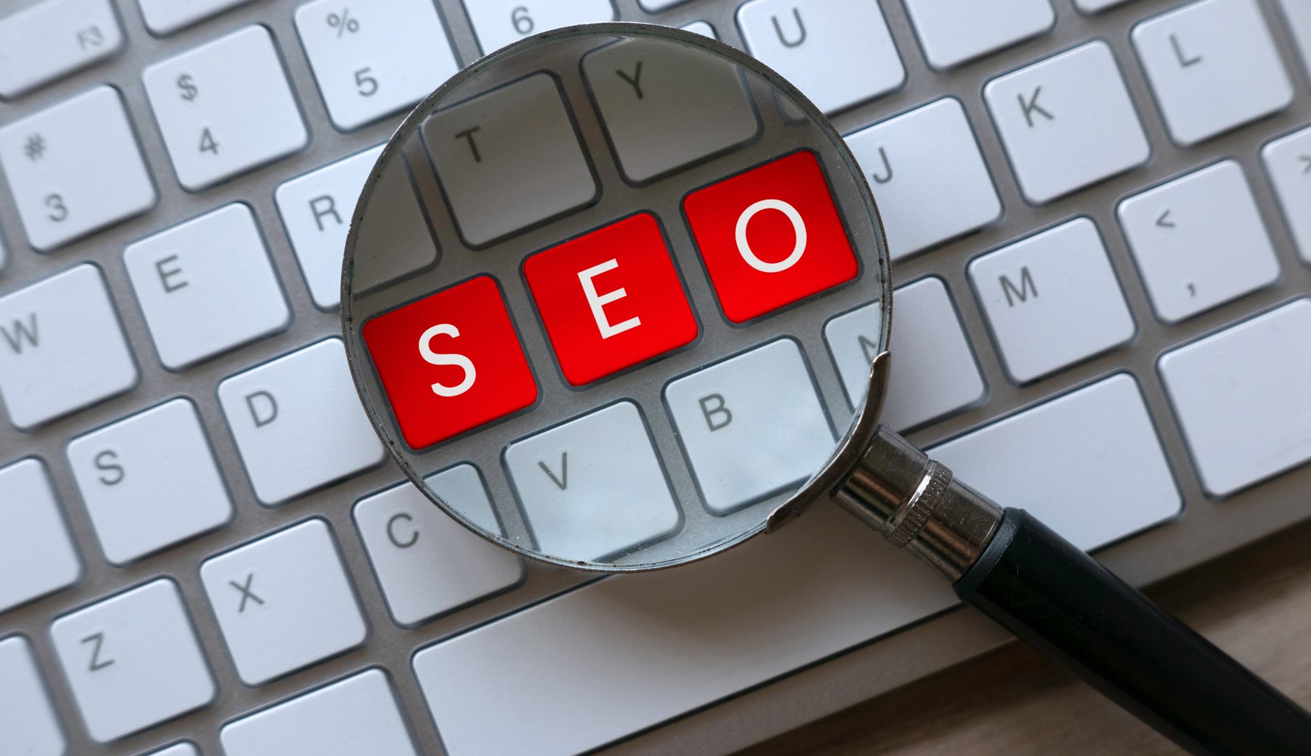 Professional team at Solve Design Create working on digital marketing strategies for a Naples, FL business.